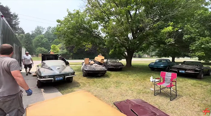 [VIDEO] Watch this Rescue of a Huge Barn Find Collection of Six Midyear Corvettes