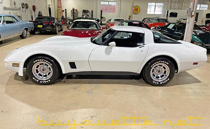 Corvettes for Sale: 1981 Corvette with 1,599 Original Miles