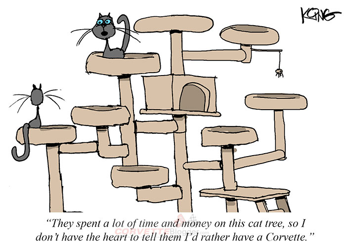 Saturday Morning Corvette Comic: Cool Cats Know Best