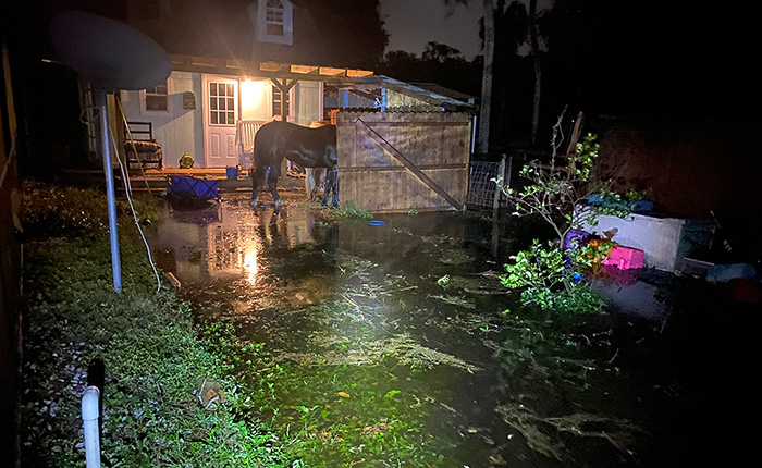 I Got Complacent and Hurricane Helene Nearly Claimed My 1966 Corvette