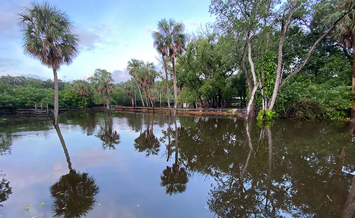 CorvetteBlogger is Back Online Following Hurricane Milton
