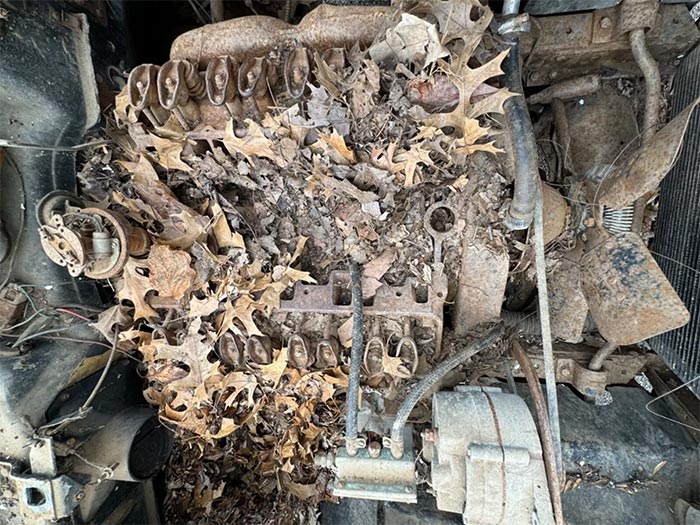 Corvettes for Sale: Helen's 1960 Corvette Owned for 60 years