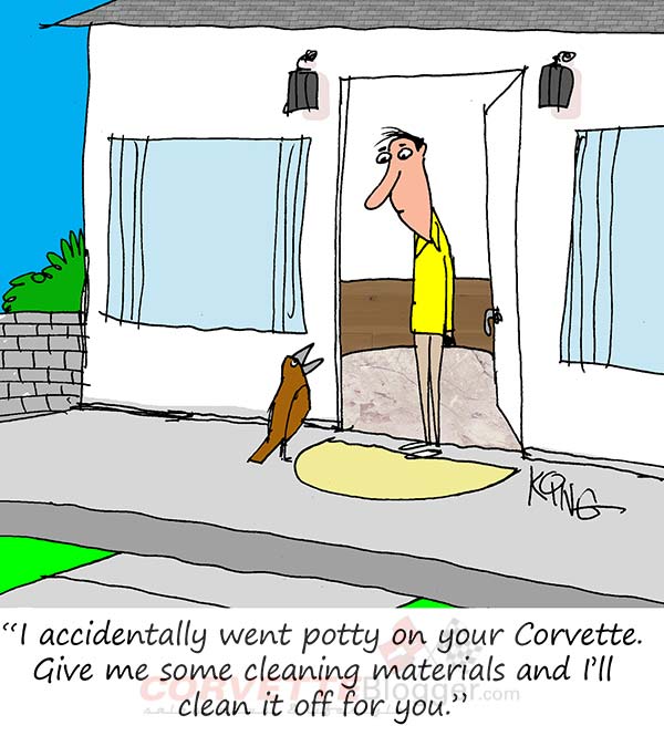 Saturday Morning Corvette Comic: Bird Messed on the Wrong Corvette