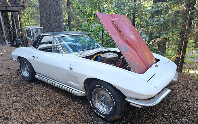 Corvettes for Sale: 1967 Corvette Barn Find on eBay