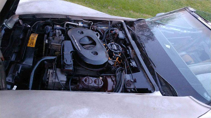 Corvettes for Sale: 1982 Collector Edition with 24K Miles Offered on Craigslist
