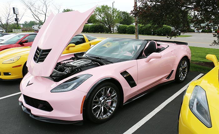 Little Pink Corvette