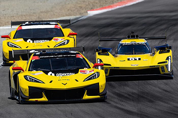 Corvette Racing at Detroit: Home Sweet Home