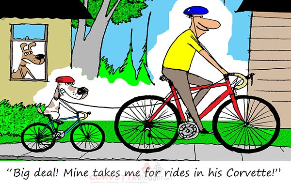 Saturday Morning Corvette Comic: A Dogs Life