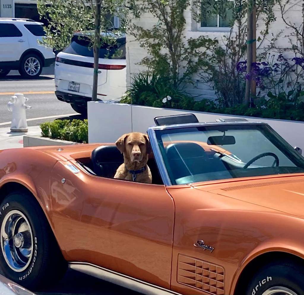 Corvette Deliveries with Mike Furman