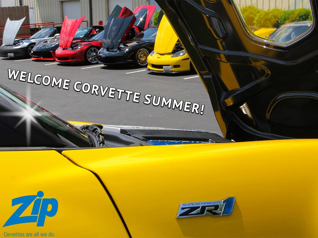 Summer Essentials from Zip Corvette