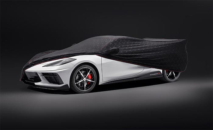Two-Stanchion Visible Carbon Fiber Spoiler