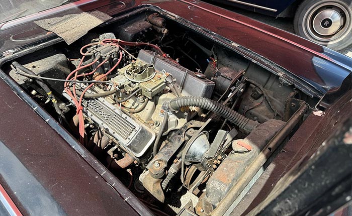 Corvettes for Sale: 1959 Corvette Rescued by Dennis Collins in Now on eBay