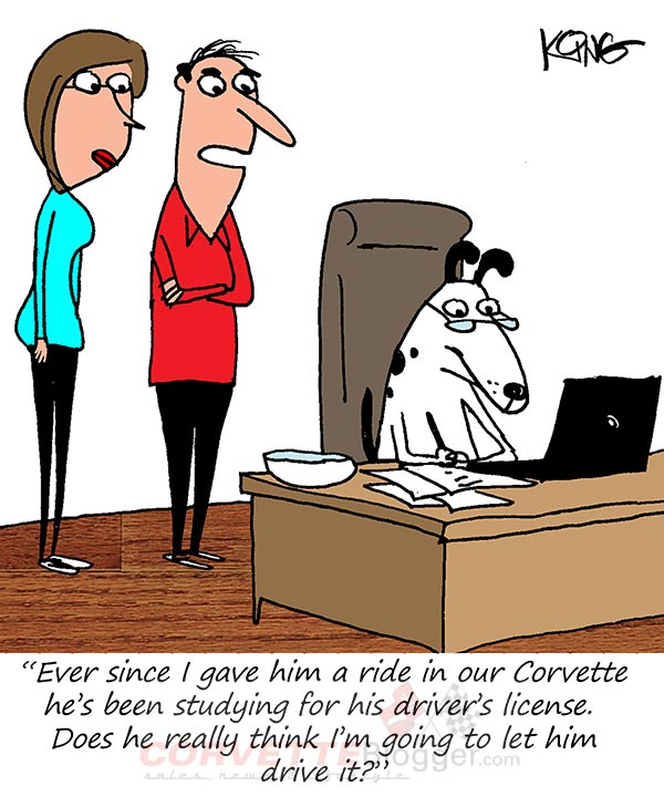 Saturday Morning Corvette Comic: This is Better than Obedience School
