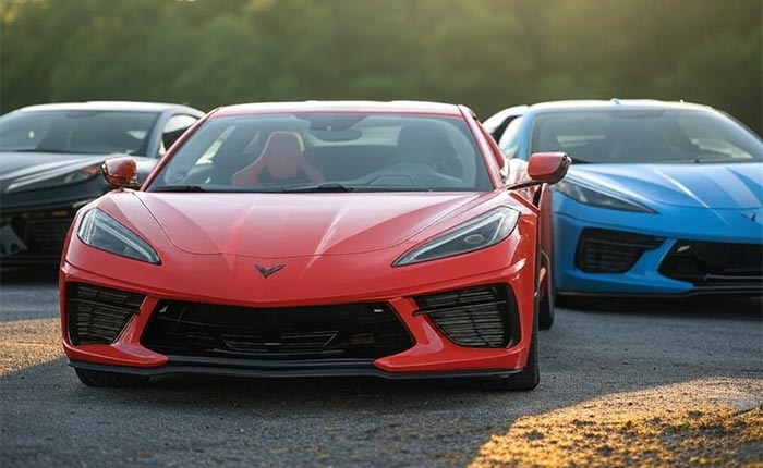 C8 Corvettes