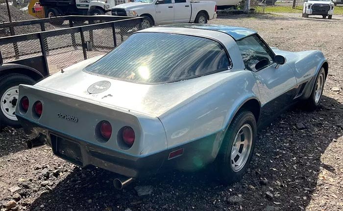 Corvette for Sale: No Reserve 1982 Corvette Offered on eBay