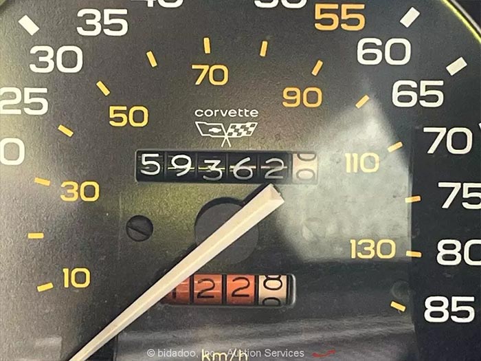 Corvette for Sale: No Reserve 1982 Corvette Offered on eBay