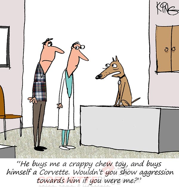 Saturday Morning Corvette Comic: The Dog Chewed My New Balance Sneakers!