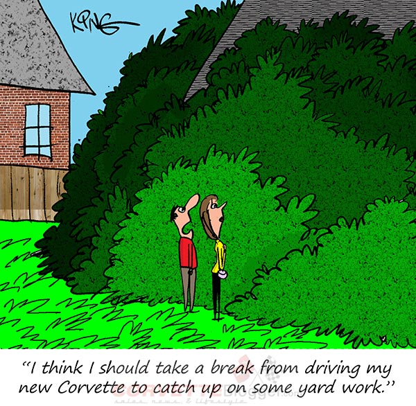 Saturday Morning Corvette Comic: Can't See the Garage for the Trees