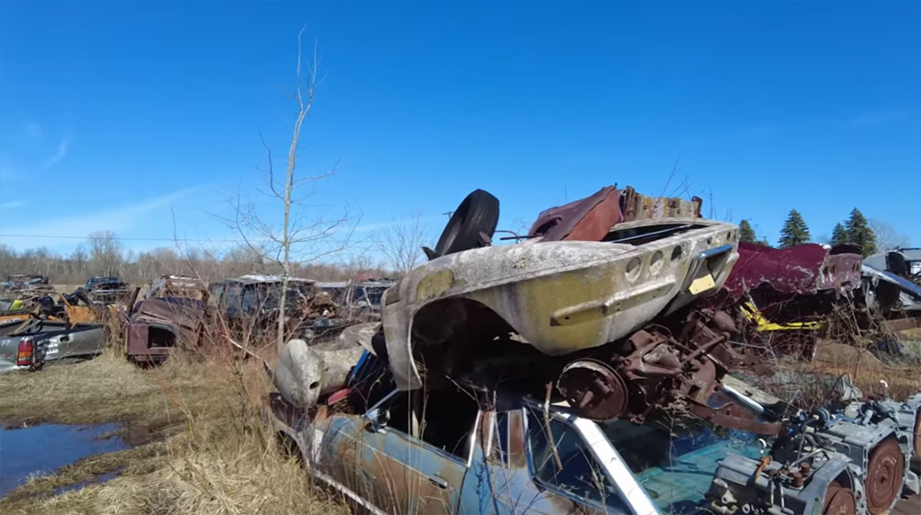 [VIDEO] Exploring a Hidden Corvette Junkyard