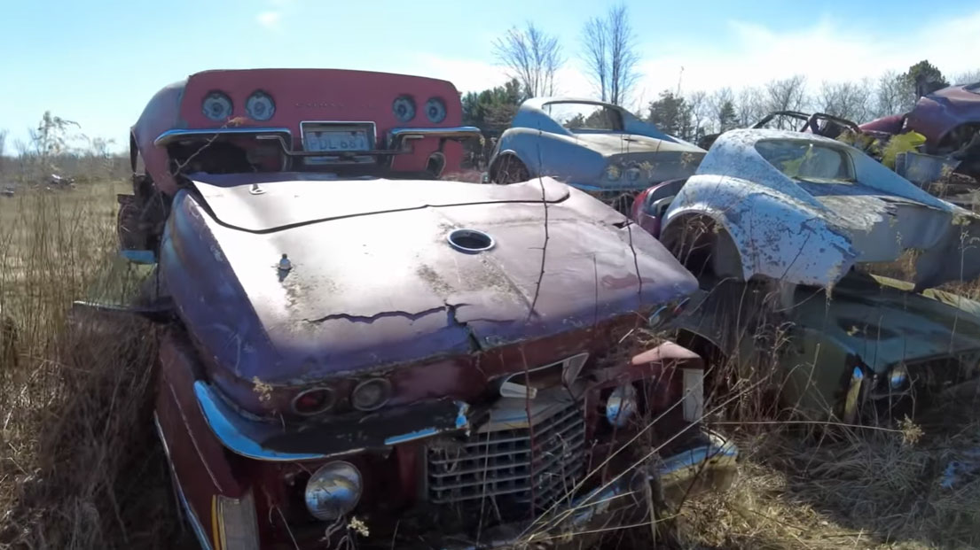 video-exploring-a-hidden-corvette-junkyard-in-michigan