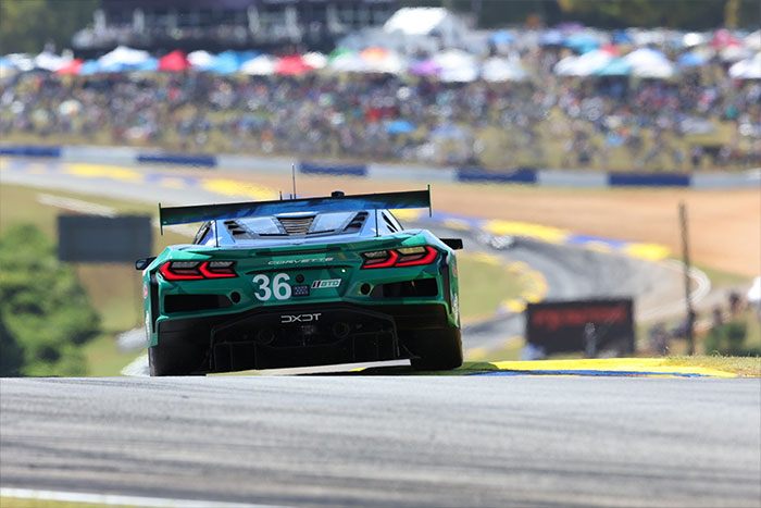 Corvette Racing at Petit Le Mans: Titles and Podiums!