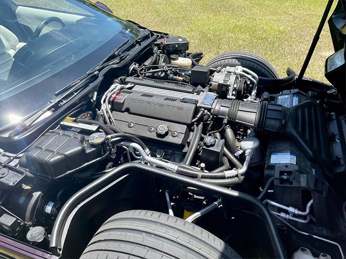 Corvettes for Sale: This Black Rose 1993 Corvette was Meticulously Cared For, and Now it Can Be Yours for $12,500