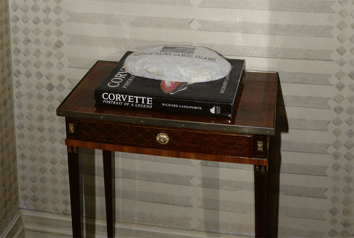 [PICS] I Searched for 'Corvette' in the Epstein Files and Came Up With This