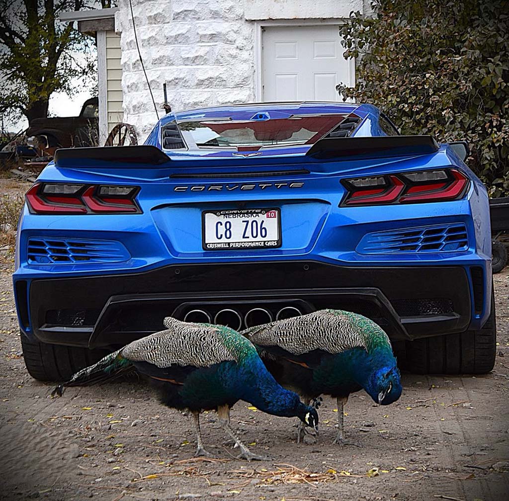 Corvette Deliveries with Mike Furman