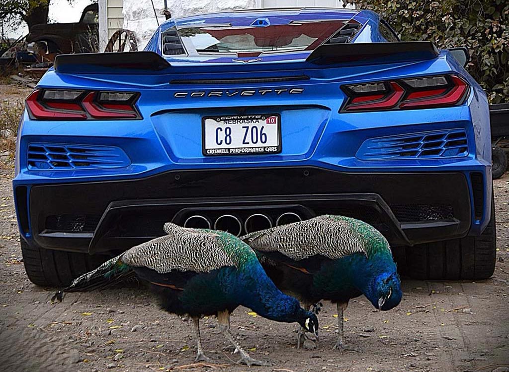 Corvette Delivery Dispatch with National Corvette Seller Mike Furman for Feb 1