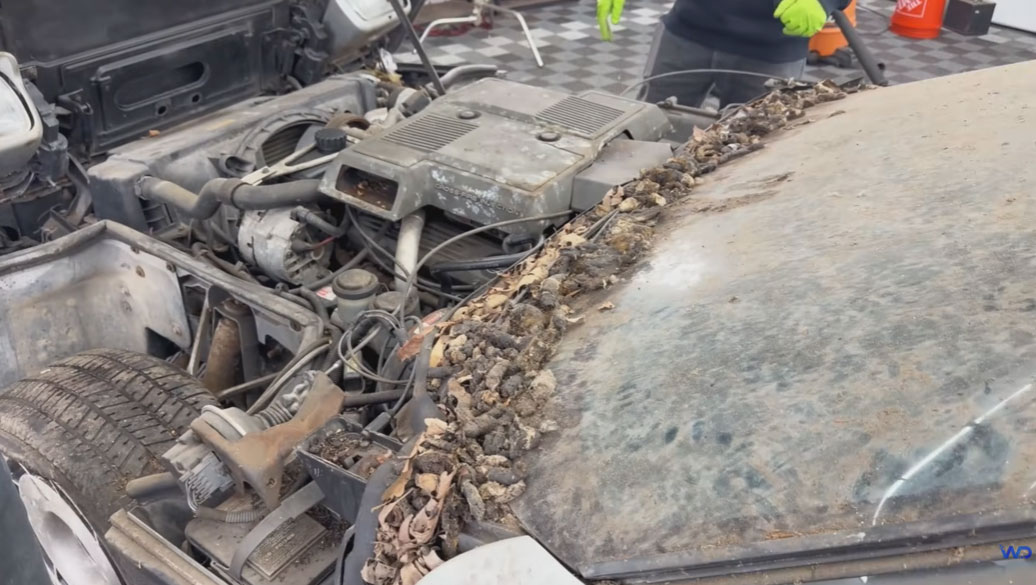 [VIDEO] C4 Corvette Stored for 30 Years Is Pulled from its Garage and Detailed