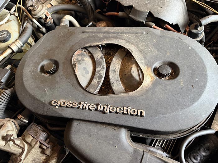 Corvettes à vendre : Garage Corvette 1982 sans réserve Trouver sur eBay