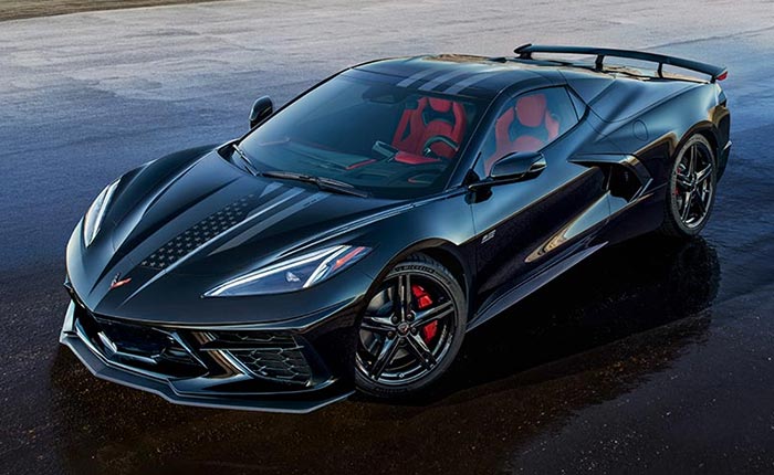 Black Stingray Stars & Steel