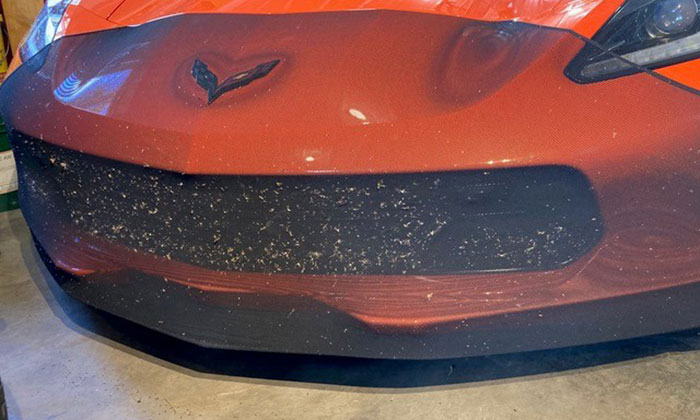 Vous vous dirigez vers la fête des MR ? Protégez votre Corvette avec les housses de protection NoviStretch
