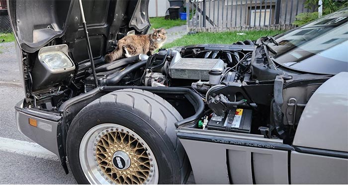 Corvettes for Sale: B2K Twin Turbo 1987 Corvette Callaway Offered on Craigslist