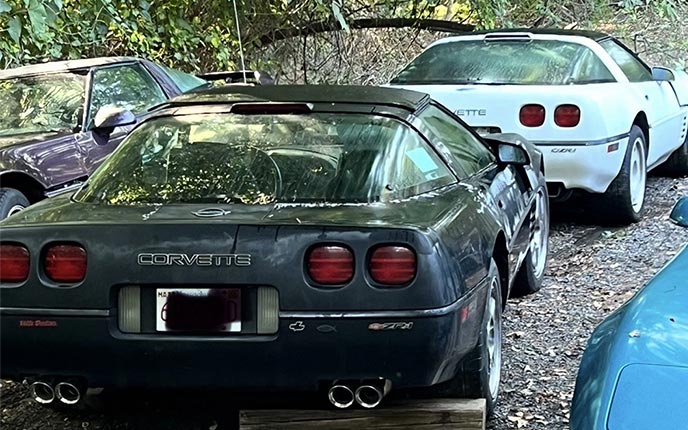 Corvettes for Sale: This Pair of 1991 Corvette ZR-1s are Offered as Package Deal