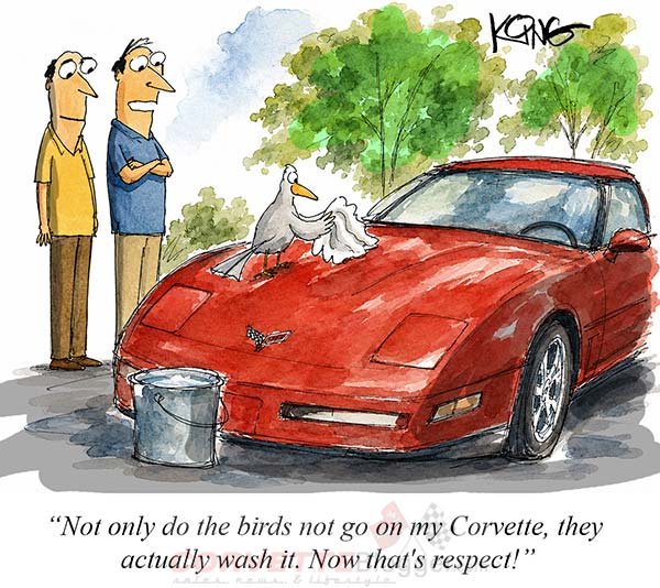 Saturday Morning Corvette Comic: Gamechanger!