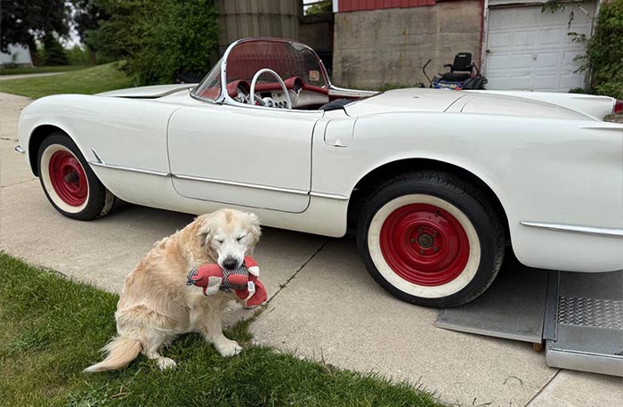 Corvettes for Sale: 57-Years-Owned 1954 Corvette Roadster