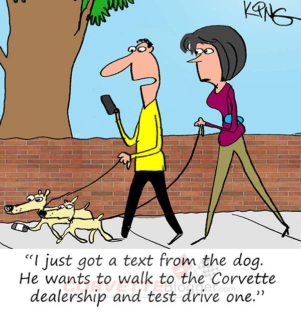 Saturday Morning Corvette Comic: Car Chasing in the 21st Century