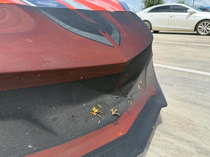 Protect Your Corvette with NoviStretch Protective Covers and Save 15% Now!