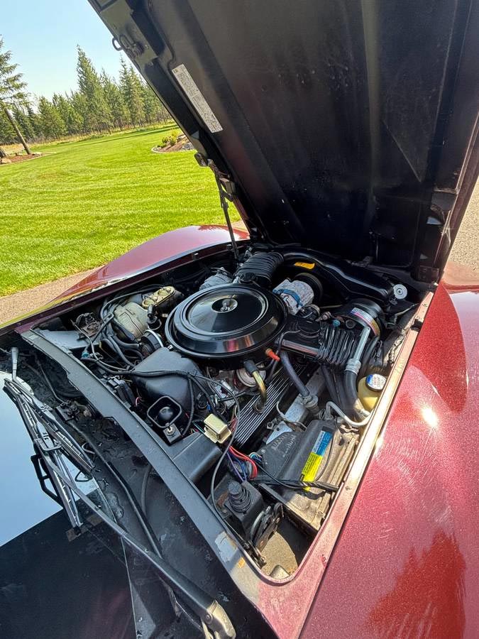 Corvettes for Sale: 17K-Mile 1980 Corvette with L82