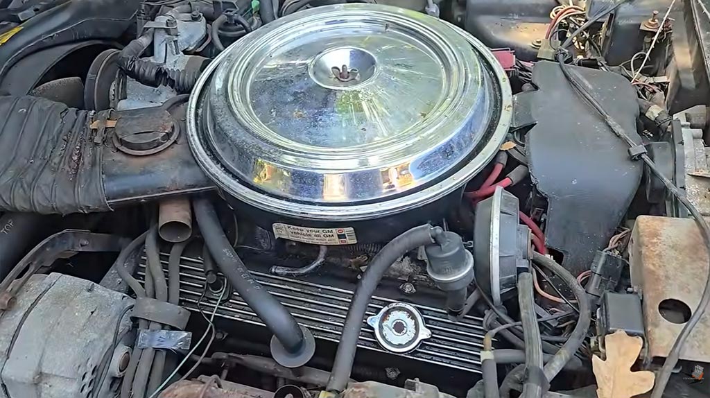 [VIDEO] Steve Magnante Explores the Lightweight Factory Components on this 1981 Corvette