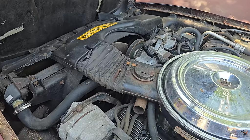 [VIDEO] Steve Magnante Explores the Lightweight Factory Components on this 1981 Corvette