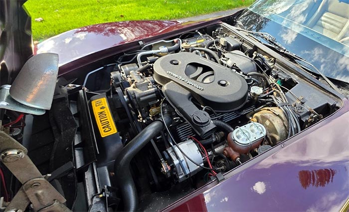 Corvettes for Sale: Documented 18K-Mile 1982 Corvette Offered on eBay