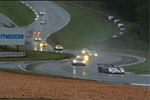 2009 Petit Le Mans