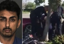 Fugitive Driver in Fatal Corvette Test Drive Crash is Apprehended Driver in Corvette Test Drive Crash is Now a Fugitive