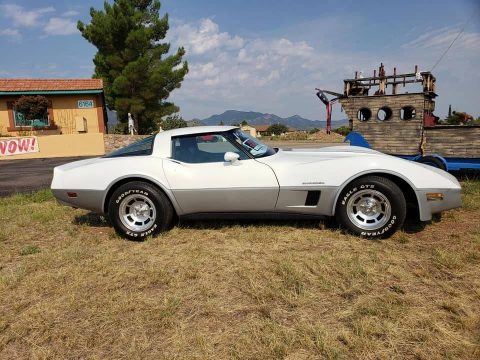 Corvettes on Craigslist: ‘Mint Condition’ Two-Tone 1982 Corvette with 17K Miles