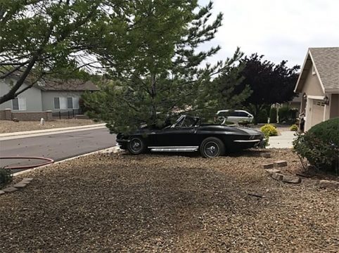 [ACCIDENT] Out-Of-Control 1966 Corvette Drives Through Neighborhood Yards and Hits a Tree