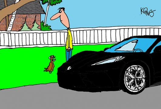 Saturday Morning Corvette Comic: Paint Protection Racket