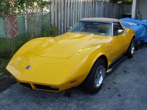 [STOLEN] Corvette Thief Given Six Years in Prison for Stealing and Destroying a 1974 Corvette