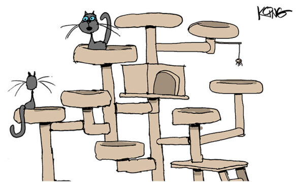 Saturday Morning Corvette Comic: Cool Cats Know Best